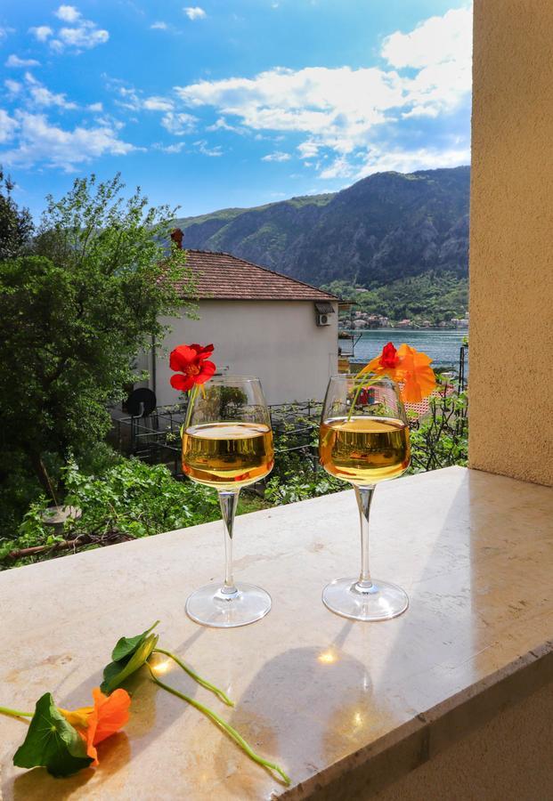 Apartments Castello Kotor Eksteriør billede